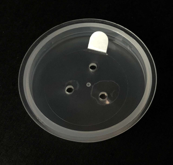 Cosmetic Jar Sifters & Seal with Tab • 5054 Beauty Makeup Supply